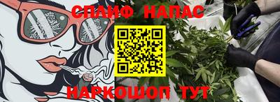 PSILOCYBIN Новокубанск