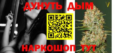 стафф Новозыбков