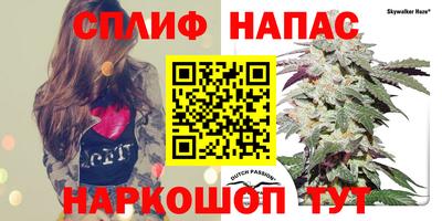 стафф Новозыбков