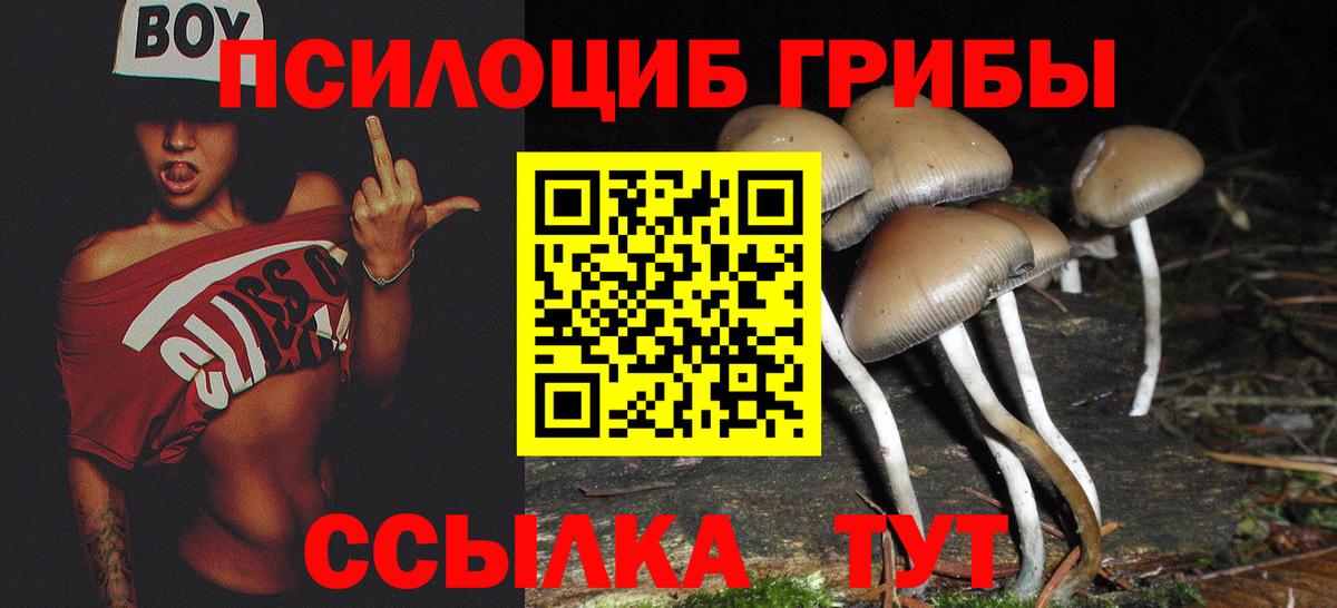 Галлюциногенные грибы прущие грибы  Вход с VPN  Родники 